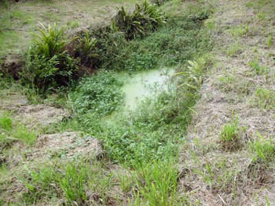 Abreuvoir
